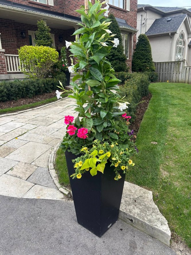 Fedak Landscaping Inc. landscaping work