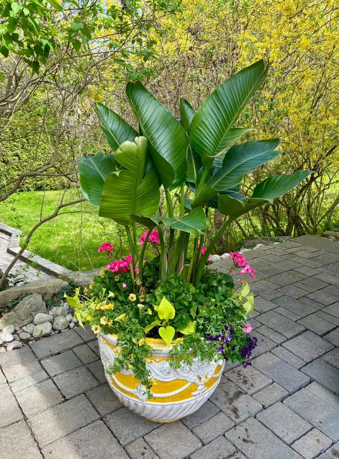 Fedak Landscaping Inc. landscaping work